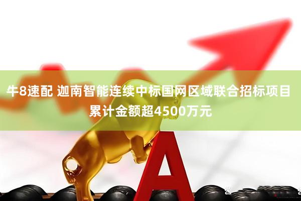 牛8速配 迦南智能连续中标国网区域联合招标项目 累计金额超4500万元