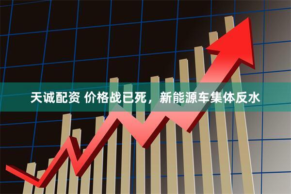 天诚配资 价格战已死，新能源车集体反水